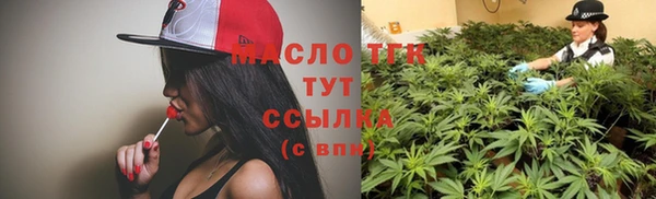 первитин Гусев