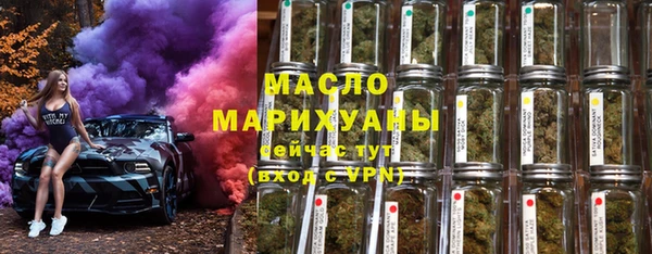 мяу мяу мука Гусь-Хрустальный