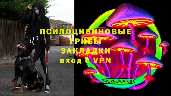 мяу мяу мука Гусь-Хрустальный