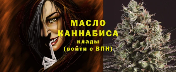 мяу мяу мука Гусь-Хрустальный