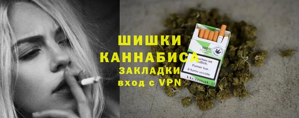 первитин Гусев