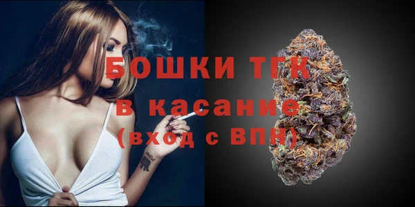 не бодяженный Гусиноозёрск
