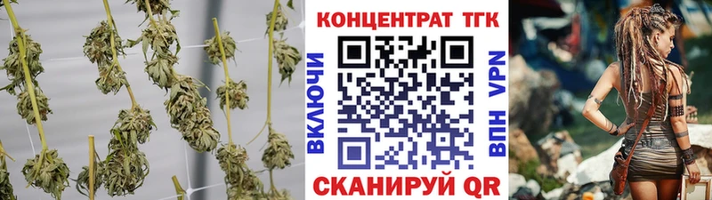 закладки  Чкаловск  shop состав  ТГК вейп с тгк 