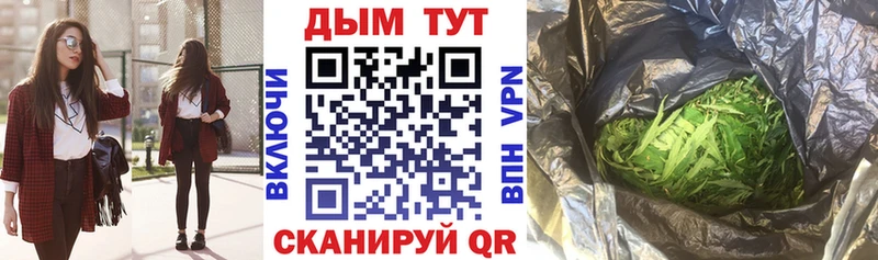где можно купить   Чкаловск  Конопля планчик 
